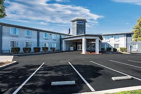 Spark by Hilton Williams