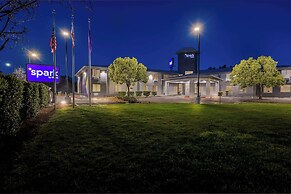 Spark by Hilton Williams