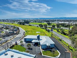 Spark by Hilton Williams