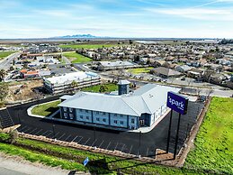 Spark by Hilton Williams