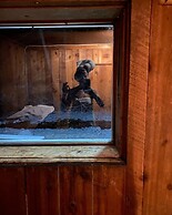 Rustic Beaverfoot Lodge Basic Cabin