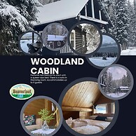 Rustic Beaverfoot Lodge Basic Cabin