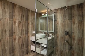 1 Amiras Entire Villa at Fateh Sagar, Udaipur