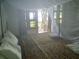 Pumba Safari Cottages