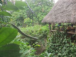 Pumba Safari Cottages