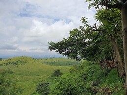 Pumba Safari Cottages