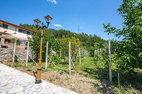 Hani i Taulant Shahinit