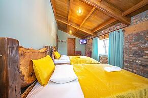 Hani i Taulant Shahinit