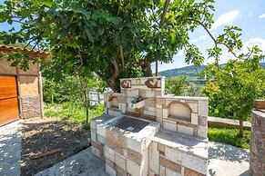 Hani i Taulant Shahinit