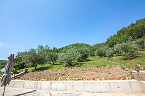 Hani i Taulant Shahinit