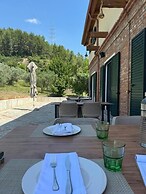 Hani i Taulant Shahinit