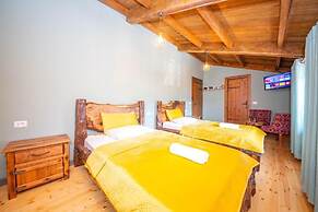 Hani i Taulant Shahinit