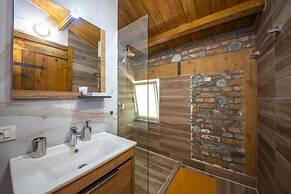 Hani i Taulant Shahinit