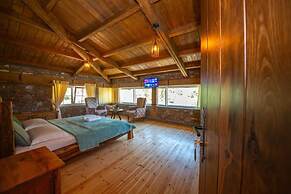 Hani i Taulant Shahinit