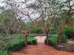 Hornbill Bush Lodge
