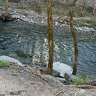1 Mile to Pkwy Pets Hot Tub Creekside Porch