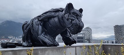 Acqualina Suites and Spa