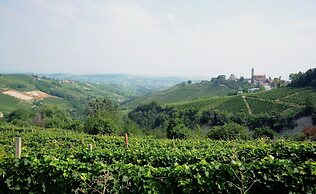The Grape Pergola House
