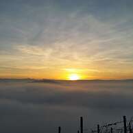 The Grape Pergola House