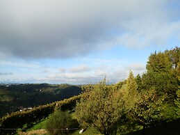 The Grape Pergola House