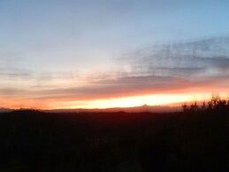 The Grape Pergola House