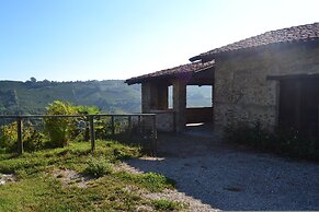 The Grape Pergola House