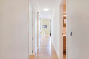 Solaga Souviron Suits