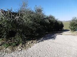 Apartment in a Farmhouse With Pool