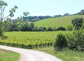 Apartment in a Farmhouse With Pool