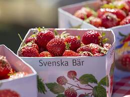 6 Person Holiday Home in Skummeslovsstrand