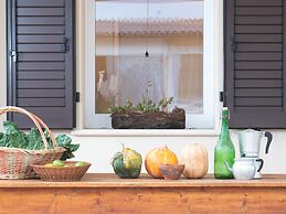 Bright Apartment in a Farmhouse With Swimming Pool