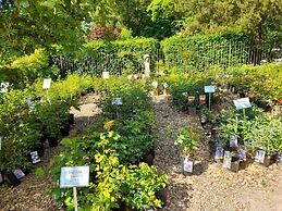 Fantastic Holiday Apartment Near Willingen