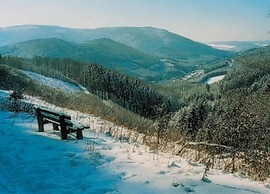 Fantastic Holiday Apartment Near Willingen