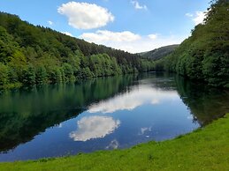 Fantastic Holiday Apartment Near Willingen