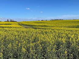 8 Person Holiday Home in Skivarp