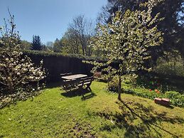 Apartment in Thale - Altenbrak With Garden