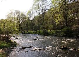 Apartment in Thale by Fishing River