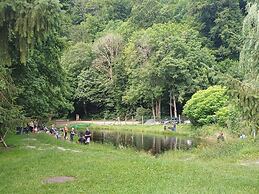 Apartment in Thale - Altenbrak With Garden