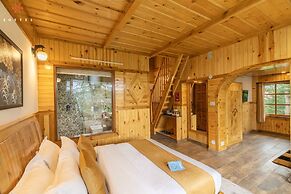 Zostel Kotgarh (Narkanda)