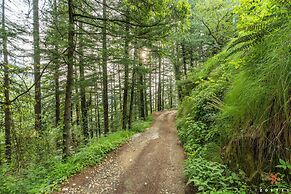 Zostel Kotgarh (Narkanda)