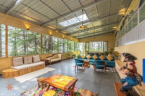 Zostel Kotgarh (Narkanda)