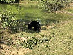 River Paradise Safari House with Cooking Class