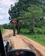 River Paradise Safari House with Cooking Class