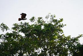 River Paradise Safari House with Cooking Class