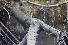 River Paradise Safari House with Cooking Class