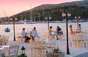 White Orchid Brassia