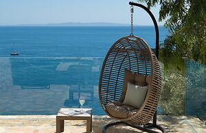 White Orchid Brassia