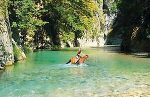 White Orchid Jumellea