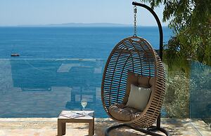 White Orchid Luisia in Vola