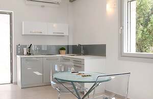 White Orchid Luisia in Vola